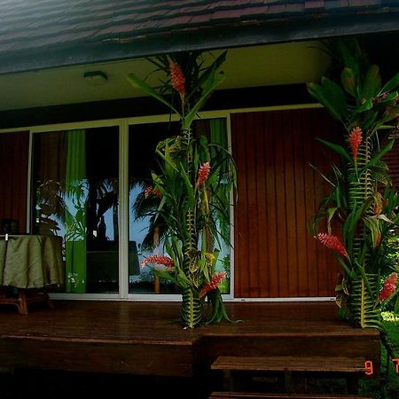 Tauhanihani Village Lodge La Vague Bleue Teahupoo Exteriör bild