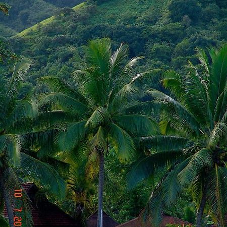 Tauhanihani Village Lodge La Vague Bleue Teahupoo Exteriör bild