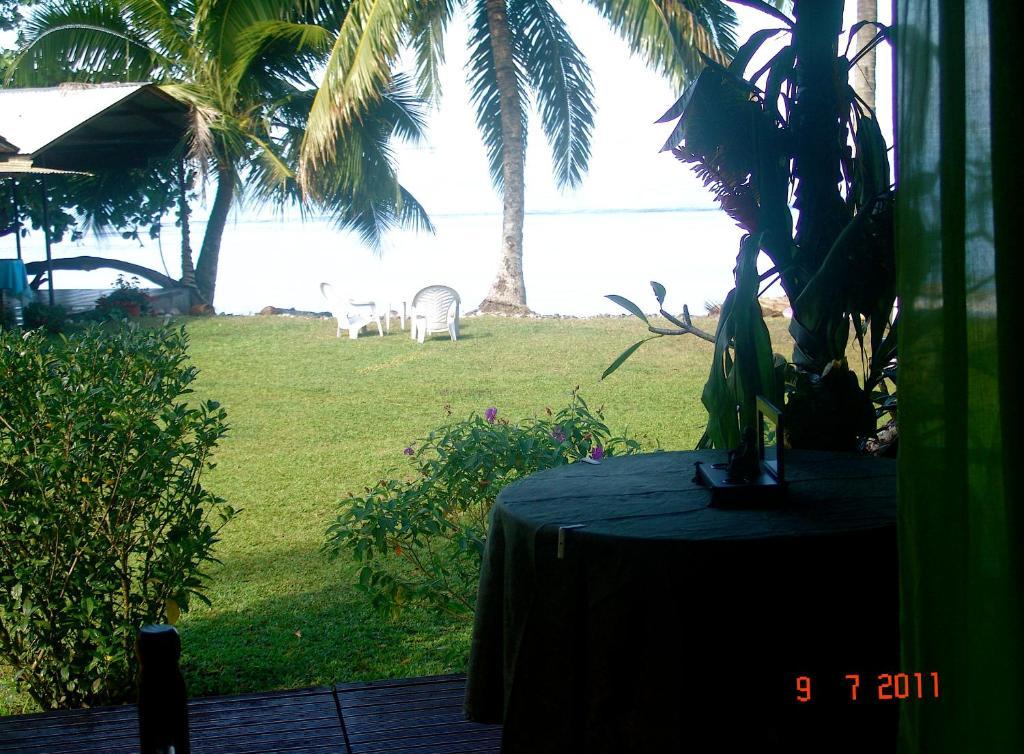 Tauhanihani Village Lodge La Vague Bleue Teahupoo Exteriör bild