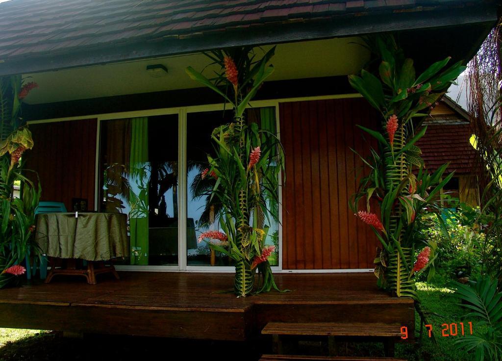Tauhanihani Village Lodge La Vague Bleue Teahupoo Exteriör bild