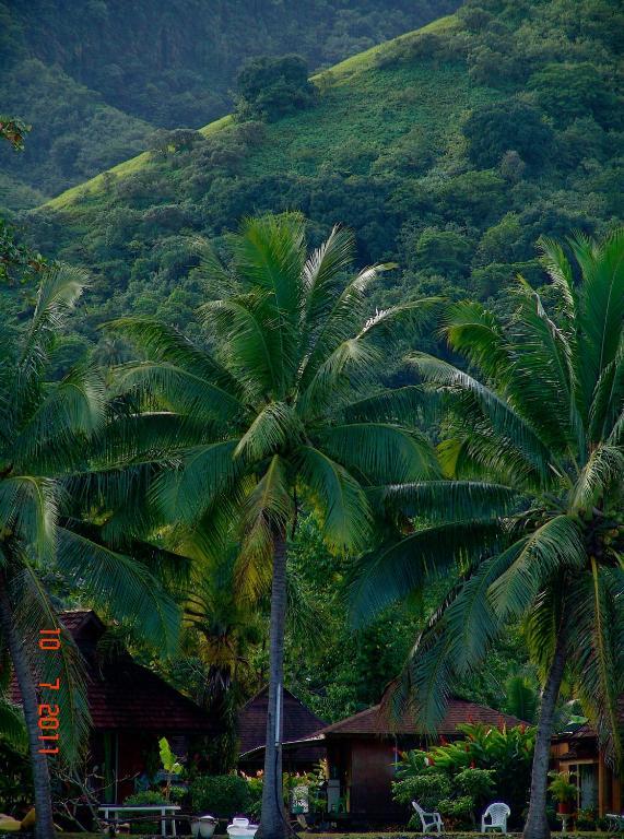 Tauhanihani Village Lodge La Vague Bleue Teahupoo Exteriör bild